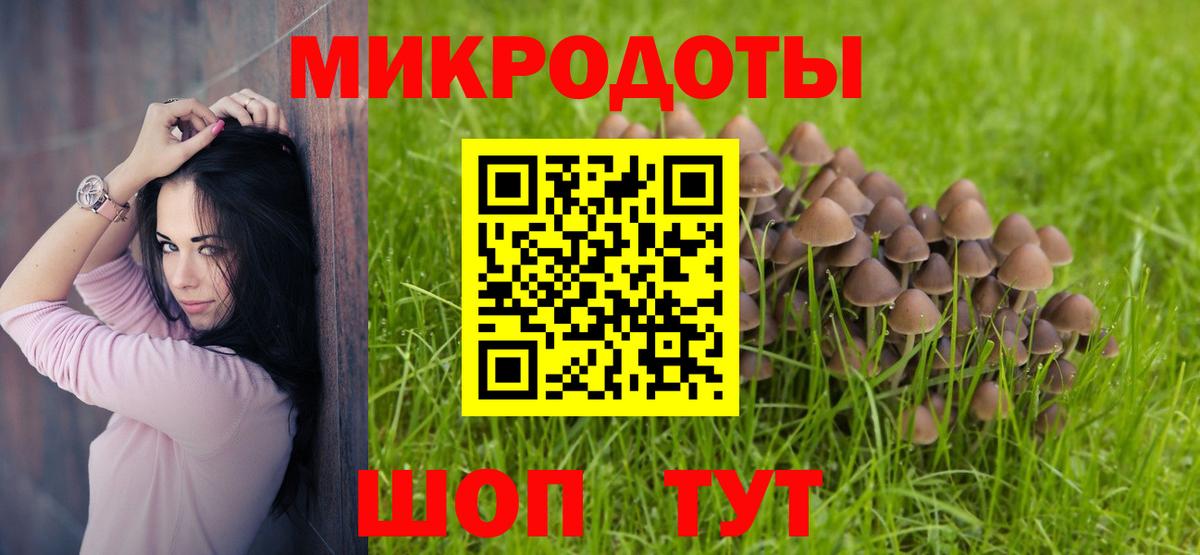 Дальнереченск  Псилоцибиновые грибы Psilocybe  Вход с VPN  Псилоцибиновые грибы Cubensis 