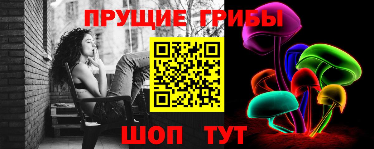 Псилоцибиновые грибы Cubensis Дальнереченск